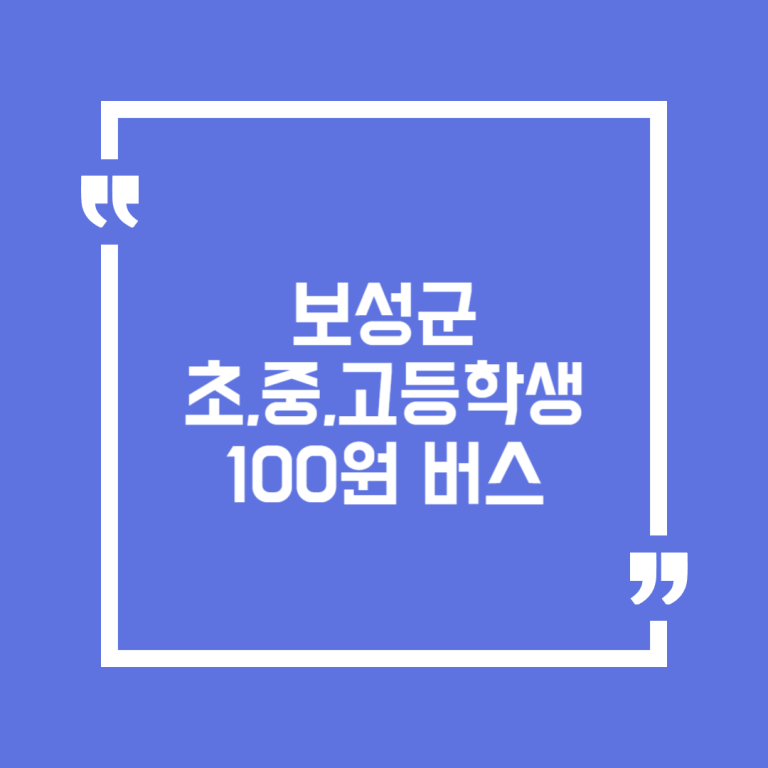 보성군 초,중,고등학생 100원 버스