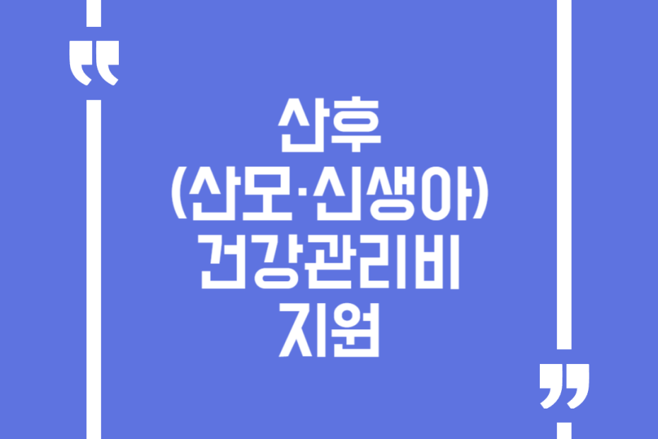 산후(산모·신생아)건강관리비 지원