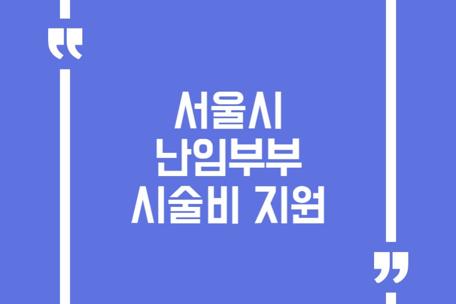 서울시 난임부부 시술비 지원
