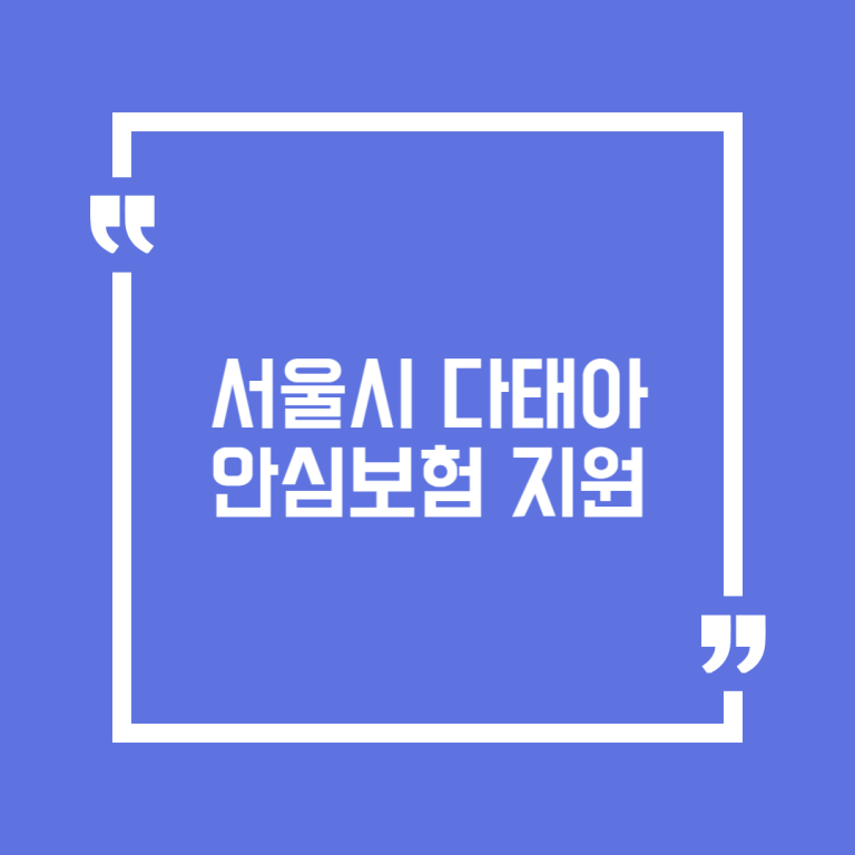 서울시 다태아 안심보험 지원
