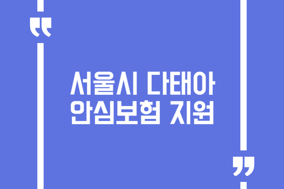 서울시 다태아 안심보험 지원