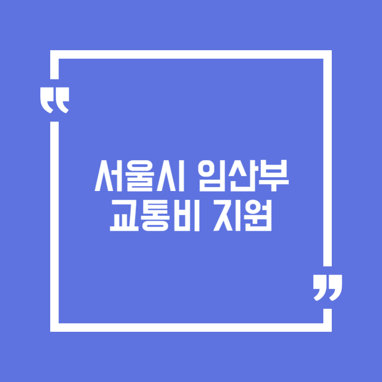 서울시 임산부 교통비 지원