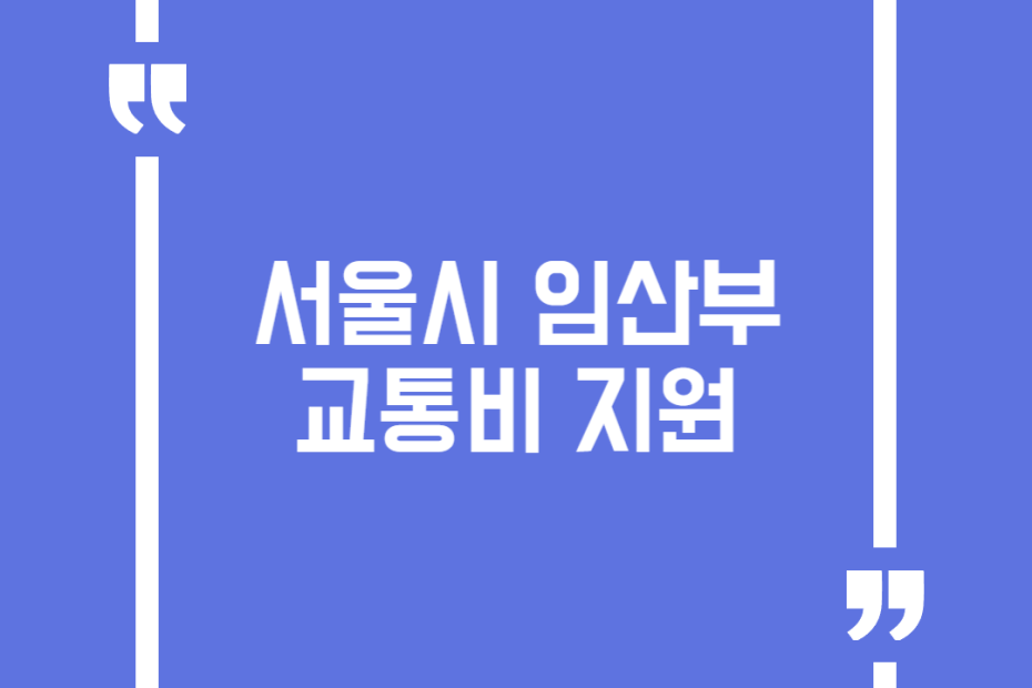 서울시 임산부 교통비 지원