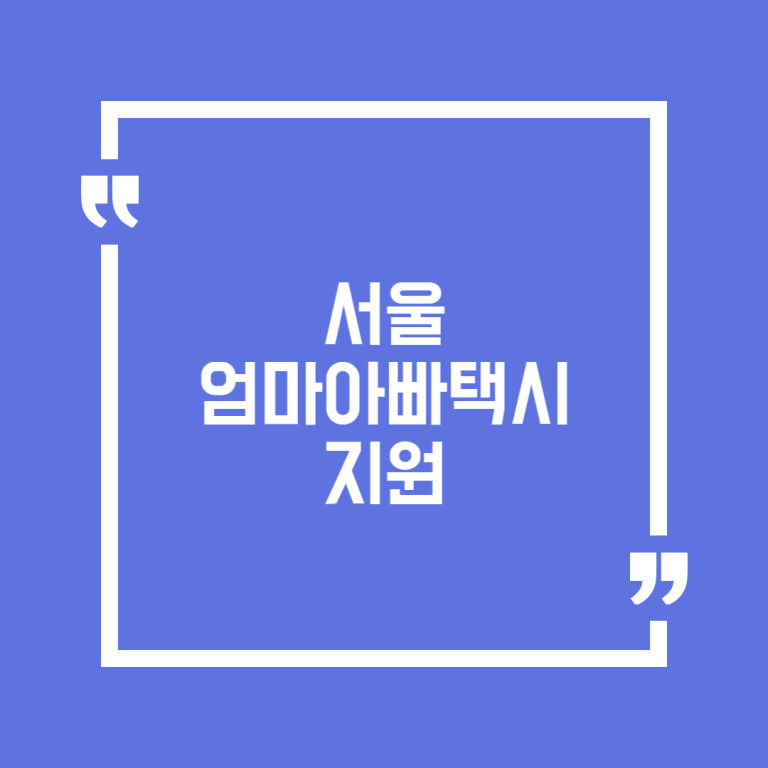 서울엄마아빠택시 지원