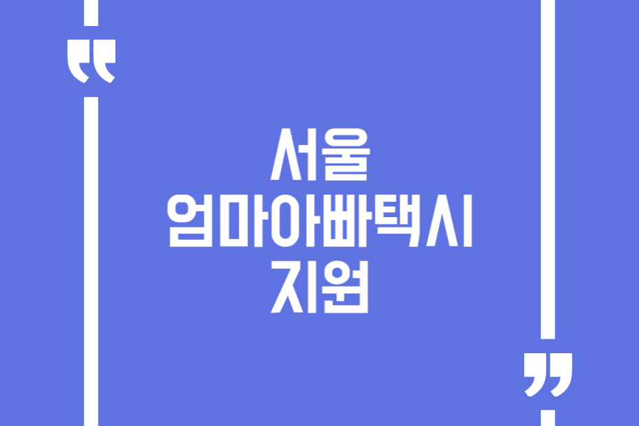 서울엄마아빠택시 지원