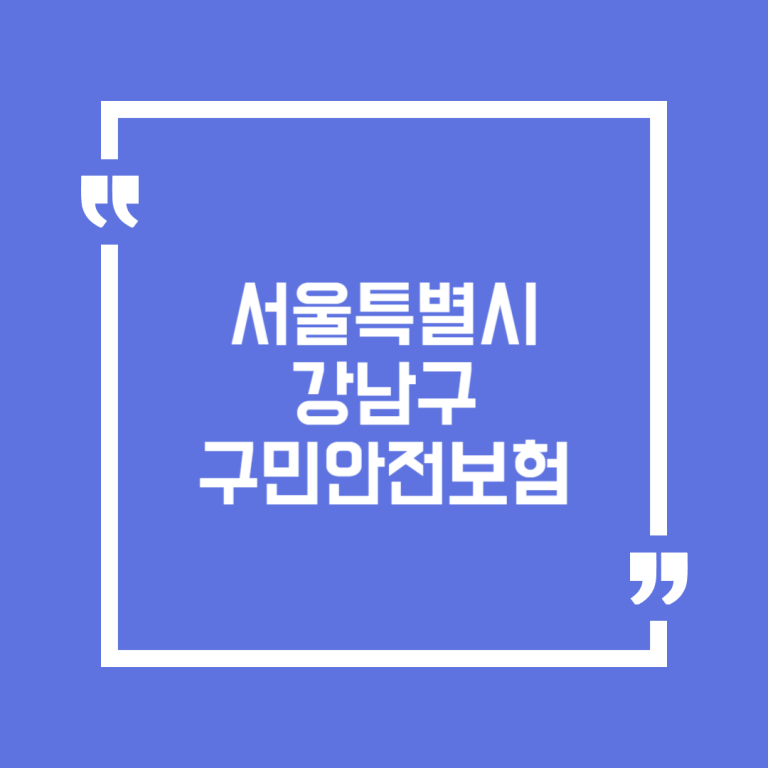 서울특별시 강남구 구민안전보험