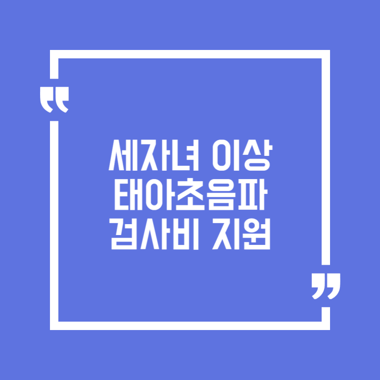 세자녀 이상 태아초음파검사비 지원