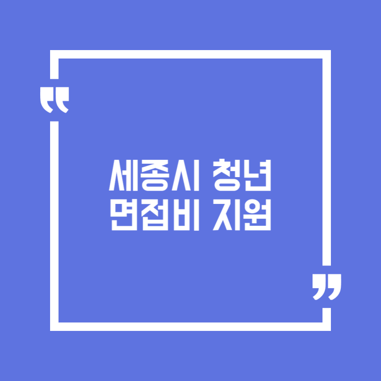 세종시 청년 면접비 지원