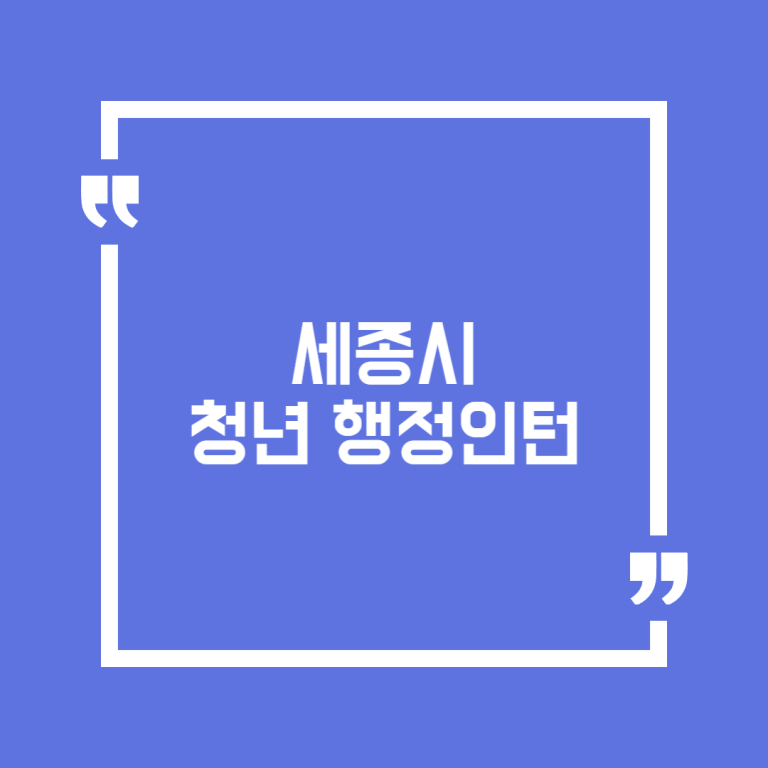 세종시 청년 행정인턴