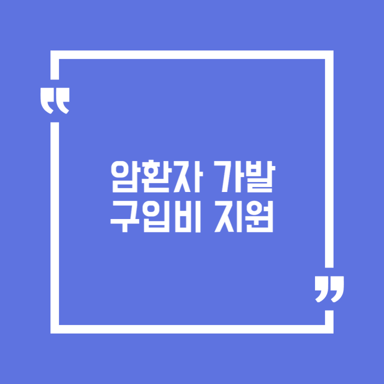 암환자 가발 구입비 지원