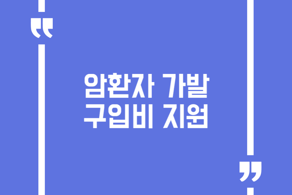 암환자 가발 구입비 지원