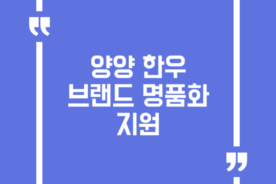 양양 한우 브랜드 명품화 지원