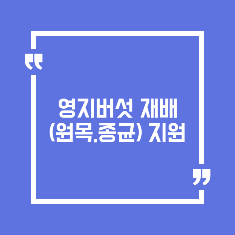 영지버섯 재배(원목,종균) 지원