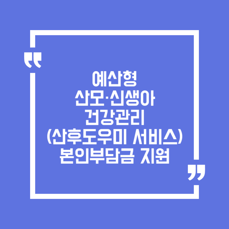 예산형 산모·신생아 건강관리 (산후도우미 서비스)본인부담금 지원