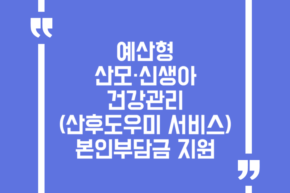 예산형 산모·신생아 건강관리 (산후도우미 서비스)본인부담금 지원