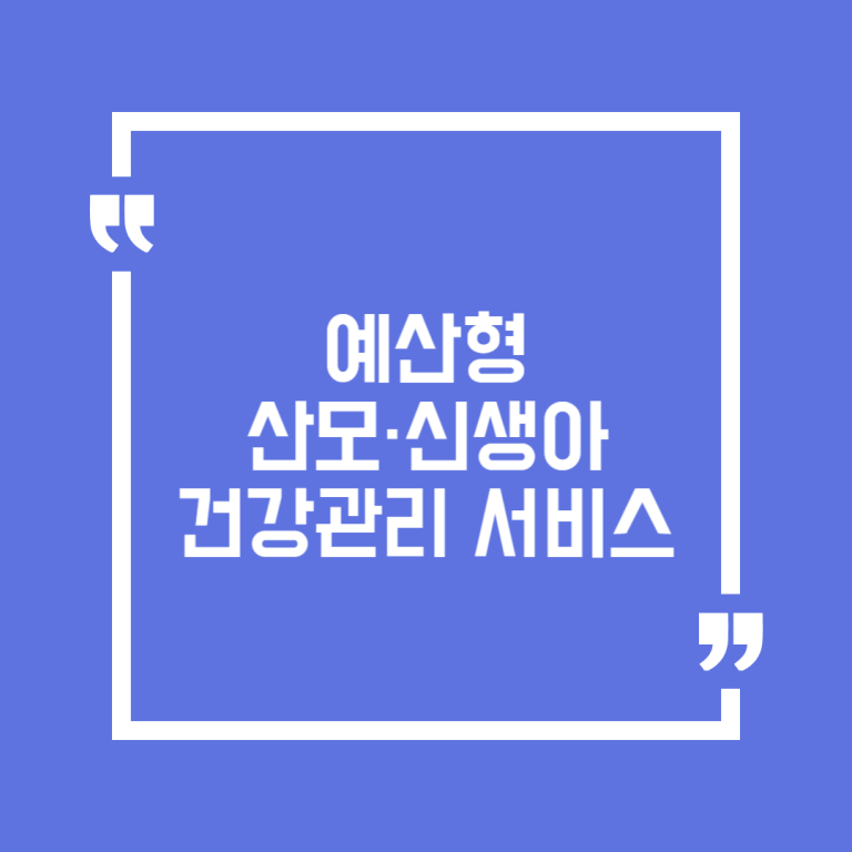 예산형 산모·신생아 건강관리 서비스