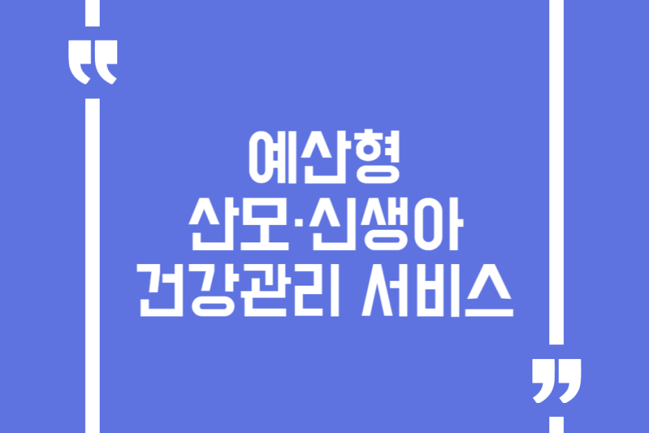 예산형 산모·신생아 건강관리 서비스