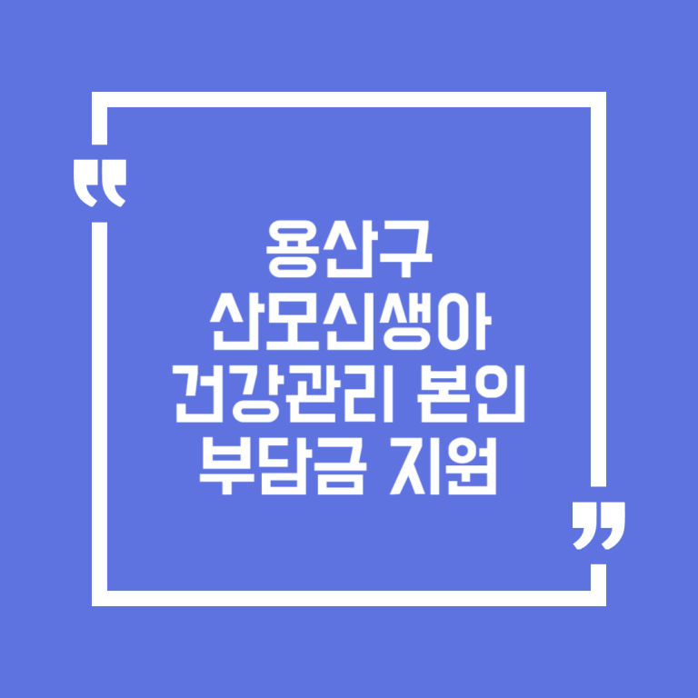 용산구 산모신생아 건강관리 본인부담금 지원