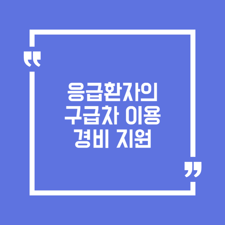 응급환자의 구급차 이용 경비 지원