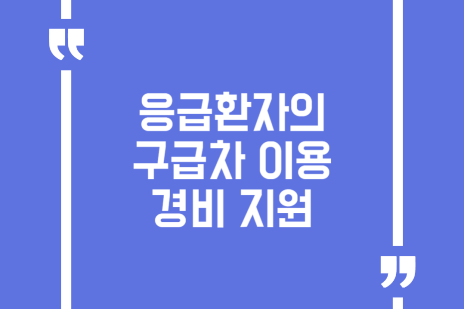 응급환자의 구급차 이용 경비 지원