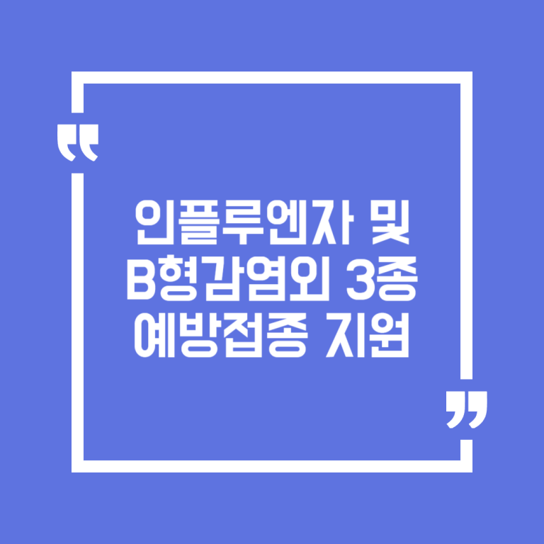 인플루엔자 및 B형감염외 3종 예방접종 지원
