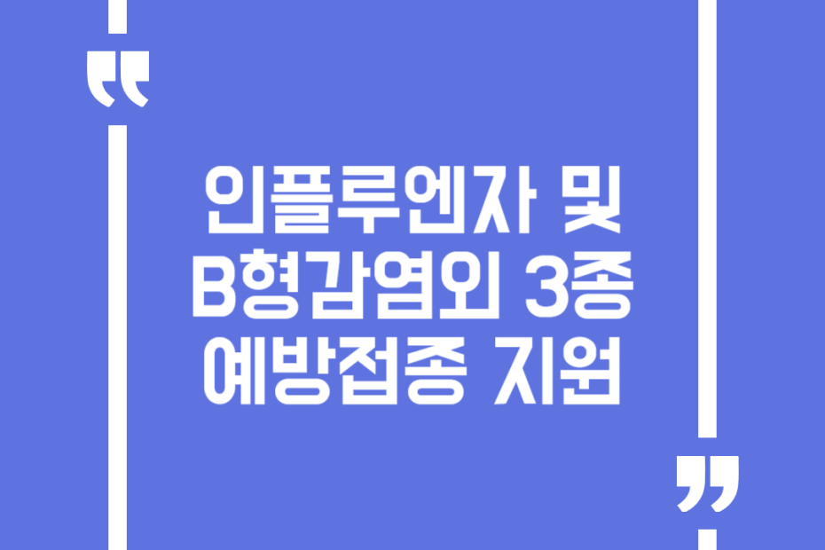 인플루엔자 및 B형감염외 3종 예방접종 지원