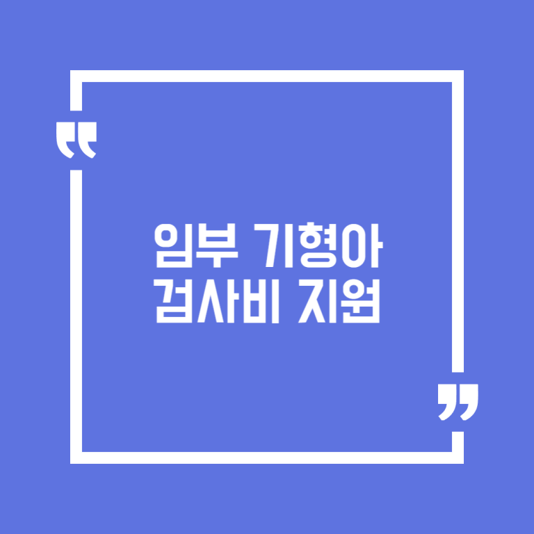 임부 기형아 검사비 지원