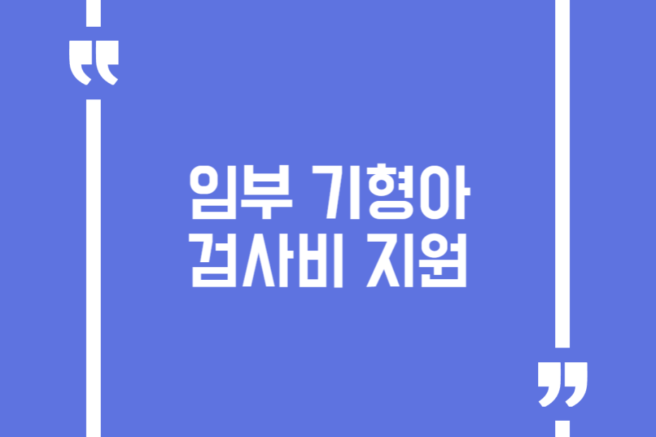 임부 기형아 검사비 지원