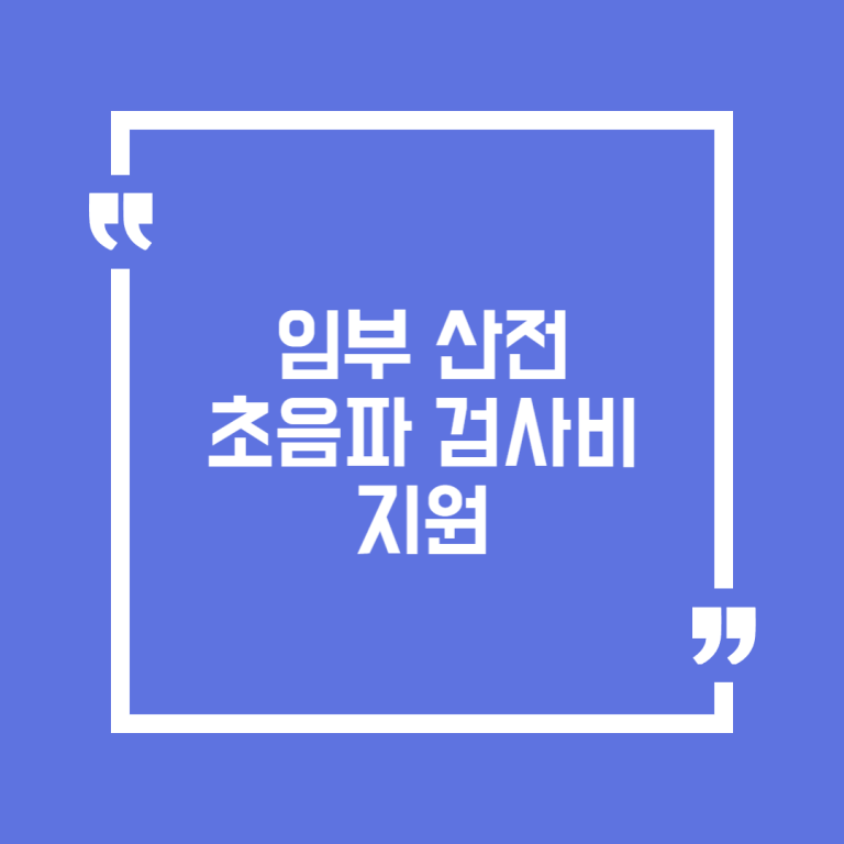 임부 산전 초음파 검사비 지원