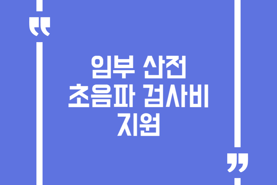 임부 산전 초음파 검사비 지원