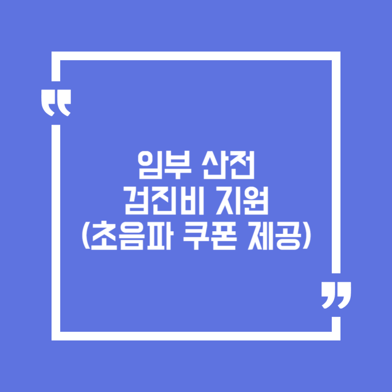 임부 산전검진비 지원(초음파 쿠폰 제공)