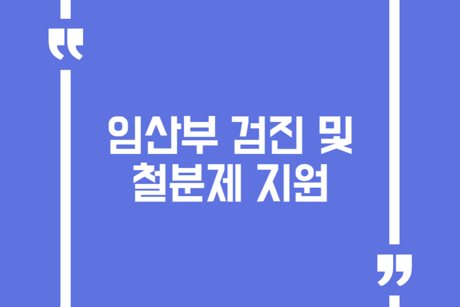 임산부 검진 및 철분제 지원