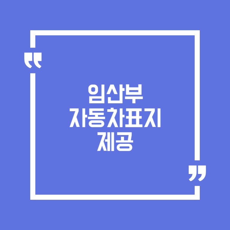 임산부 자동차표지 제공