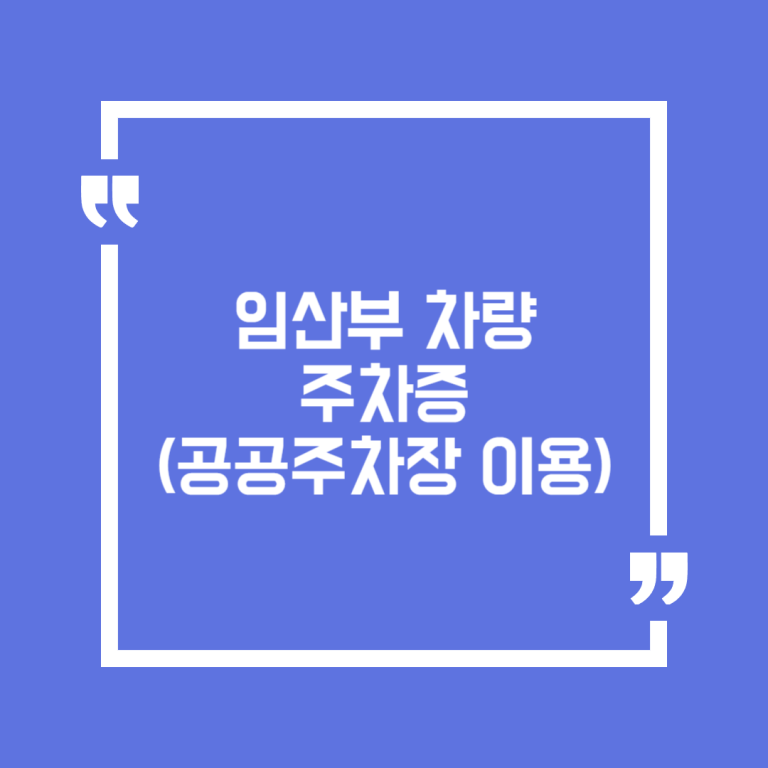 임산부 차량 주차증 (공공주차장 이용)