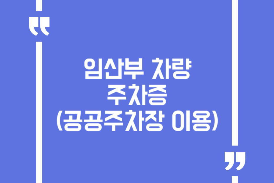 임산부 차량 주차증 (공공주차장 이용)
