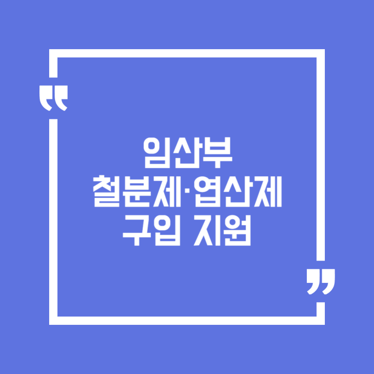 임산부 철분제·엽산제 구입 지원