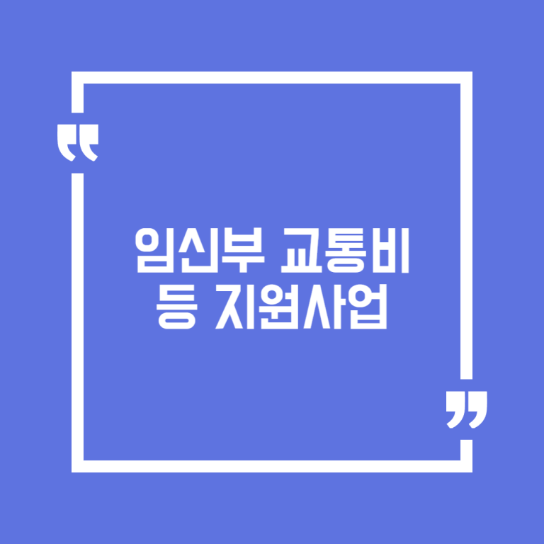 임신부 교통비 등 지원사업