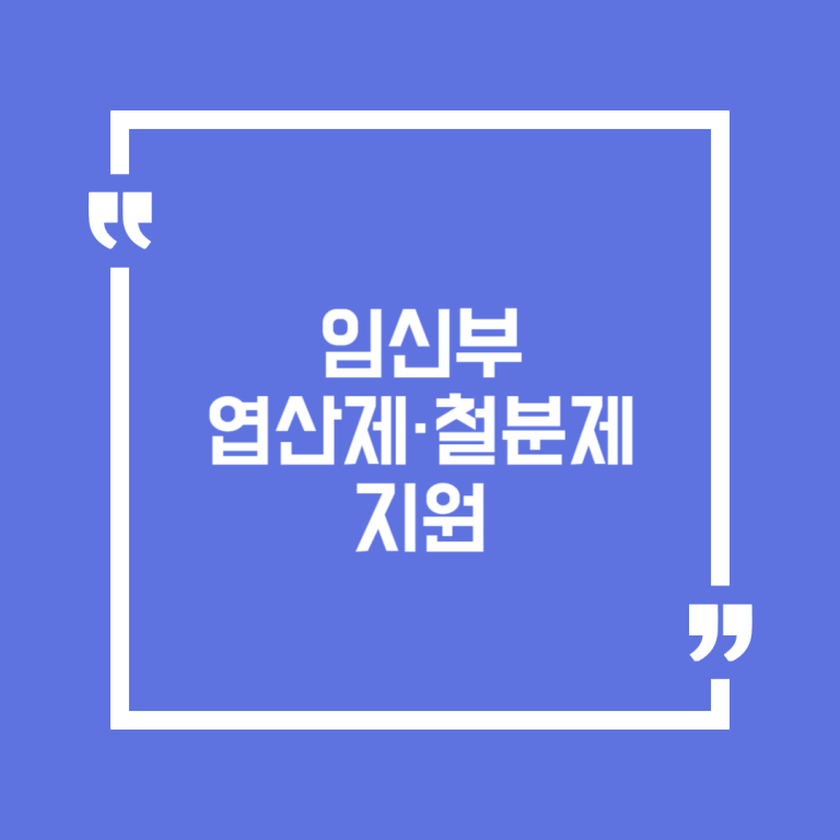 임신부 엽산제·철분제 지원