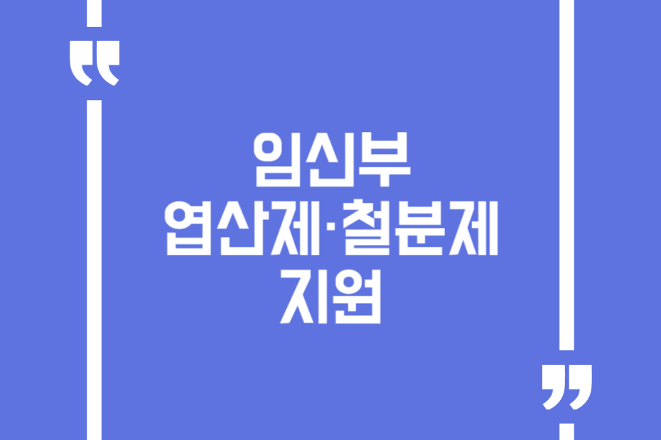 임신부 엽산제·철분제 지원