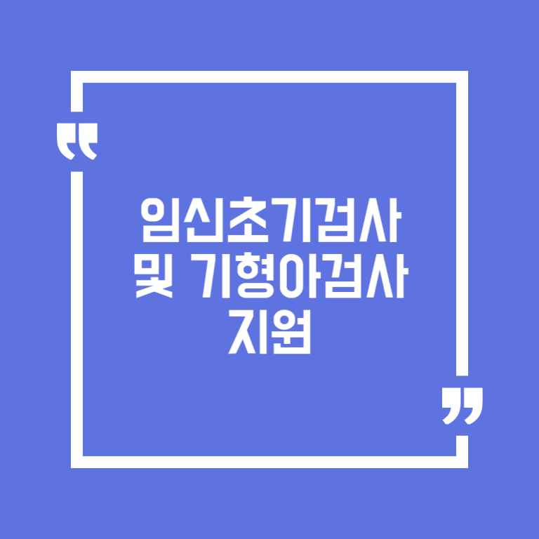임신초기검사 및 기형아검사 지원