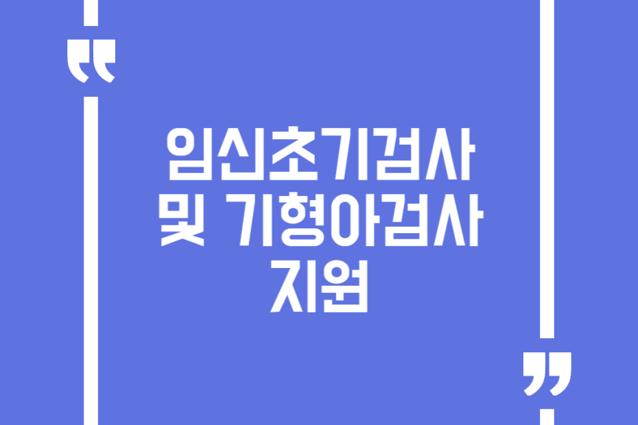 임신초기검사 및 기형아검사 지원