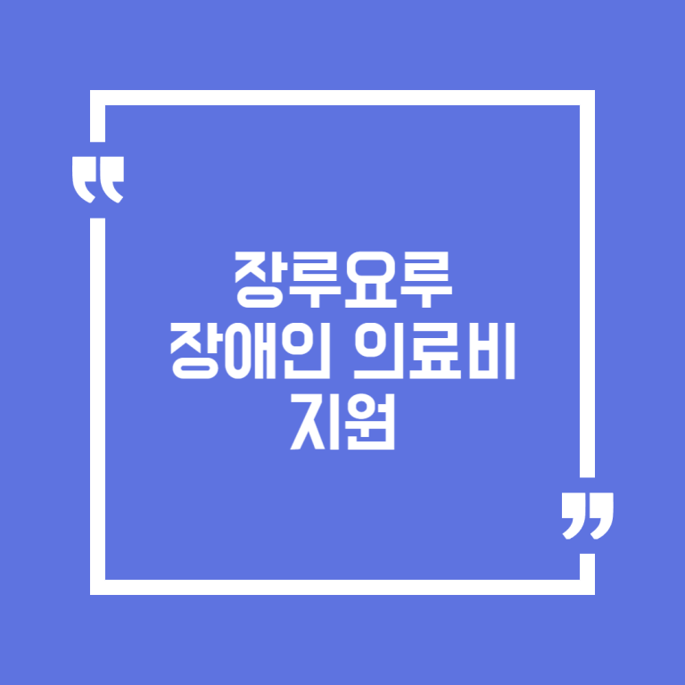 장루요루 장애인 의료비 지원