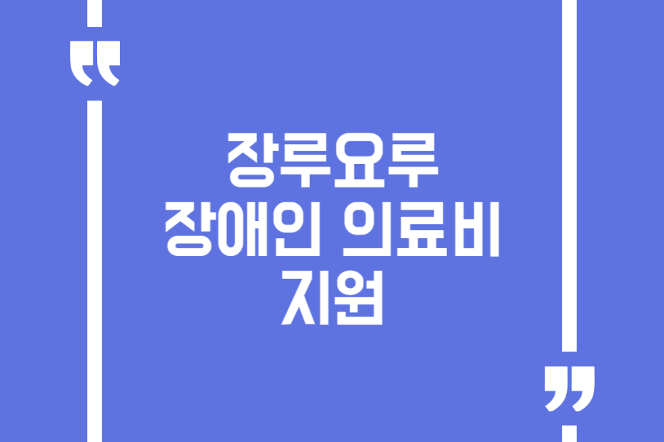 장루요루 장애인 의료비 지원