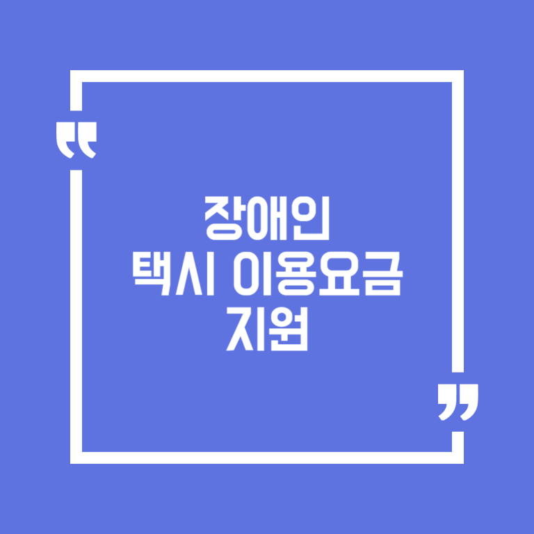 장애인 택시 이용요금 지원