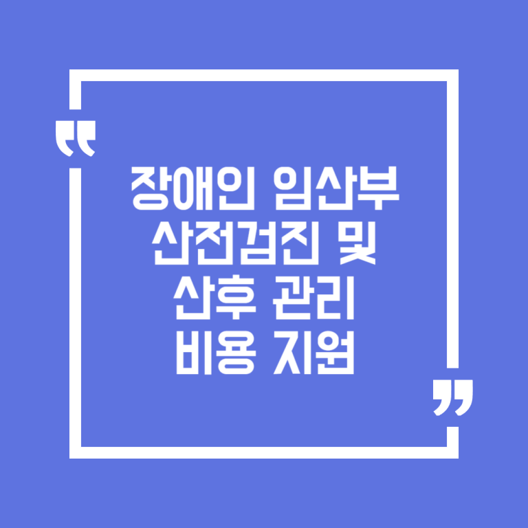 장애인임산부산전검진및산후관리비용지원
