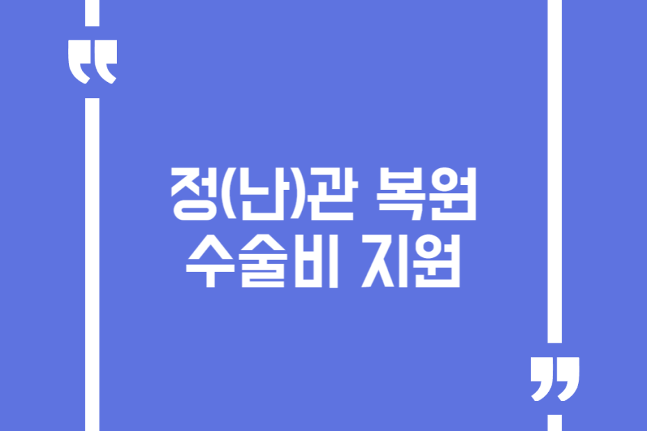 정(난)관 복원수술비 지원