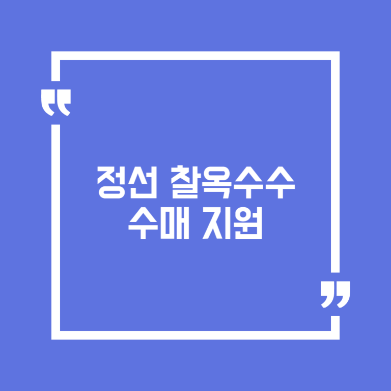 정선 찰옥수수 수매 지원