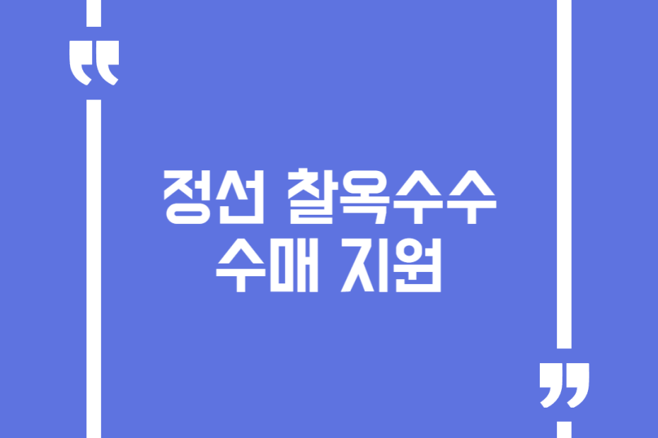 정선 찰옥수수 수매 지원