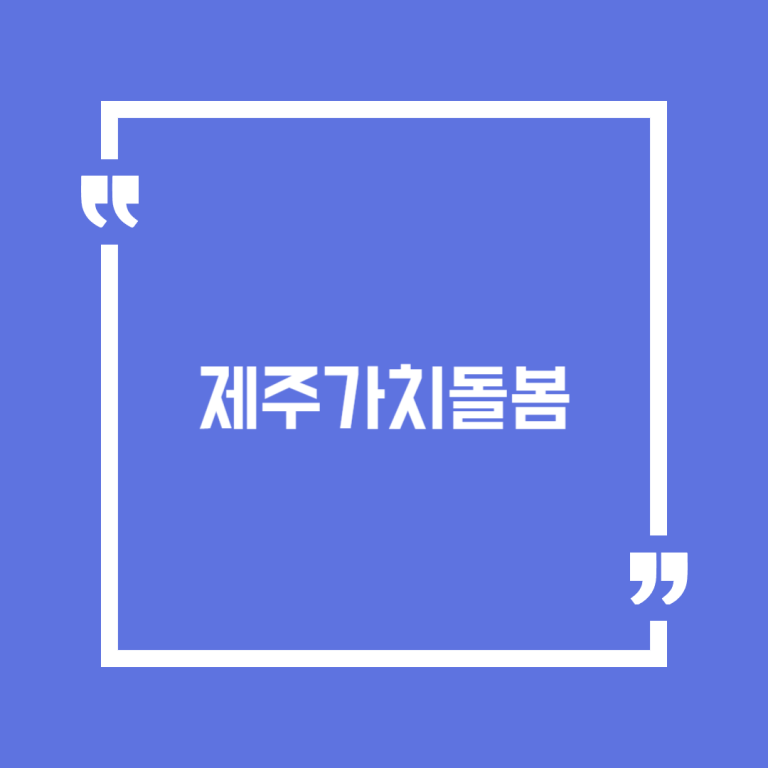 제주가치돌봄