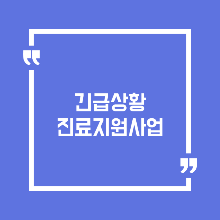 긴급상황 진료지원사업